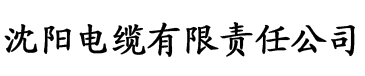 国产日韩香蕉在线电缆厂logo